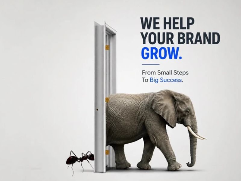 Brand strategy — Branding example by Douexa